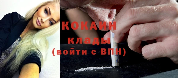 первитин Гусев