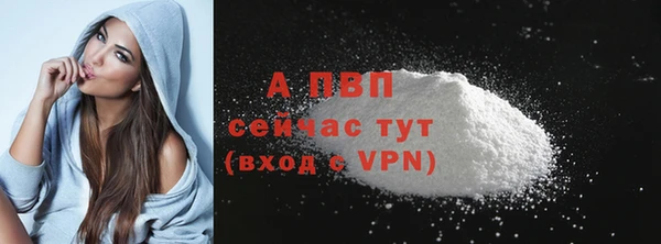 сатива Гусиноозёрск
