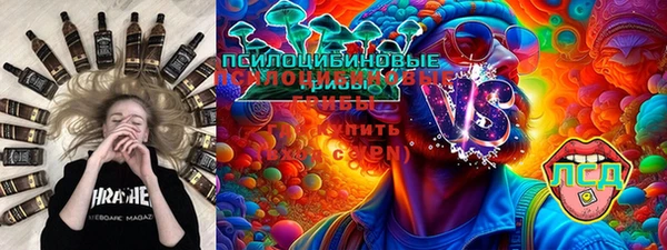 первитин Гусев