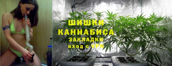 a pvp Гусь-Хрустальный