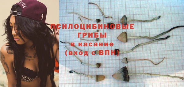 первитин Гусев