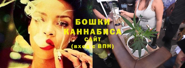 a pvp Гусь-Хрустальный
