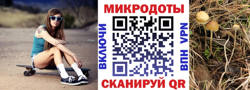 Псилоцибиновые грибы ЛСД  закладки  Новоалександровск 